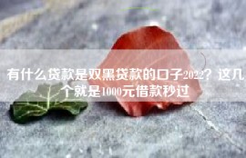 有什么贷款是双黑贷款的口子2022？这几个就是1000元借款秒过
