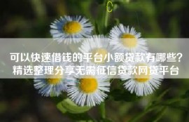 可以快速借钱的平台小额贷款有哪些？精选整理分享无需征信贷款网贷平台