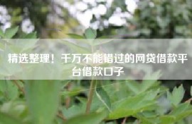 精选整理！千万不能错过的网贷借款平台借款口子
