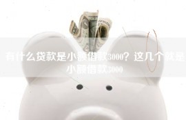 有什么贷款是小额借款3000？这几个就是小额借款3000