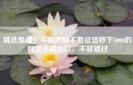 精选整理！不看逾期不看征信秒下5000的网贷小额贷款，不容错过