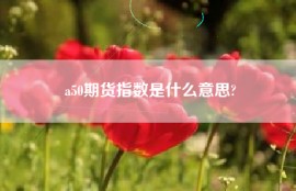 a50期货指数是什么意思?