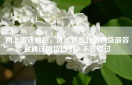 网上借钱被拒，试试这些什么网贷最容易通过网贷口子，不容错过