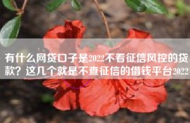 有什么网贷口子是2022不看征信风控的贷款？这几个就是不查征信的借钱平台2022