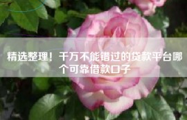 精选整理！千万不能错过的贷款平台哪个可靠借款口子