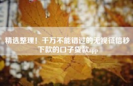 精选整理！千万不能错过的无视征信秒下款的口子贷款app