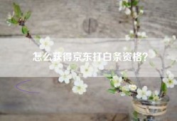 怎么获得京东打白条资格？