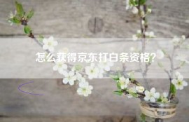 怎么获得京东打白条资格？