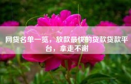 网贷名单一览，放款最快的贷款贷款平台，拿走不谢