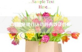 哪些是银行认可的有效证件呢
