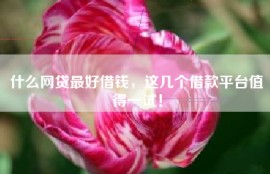 什么网贷最好借钱，这几个借款平台值得一试！
