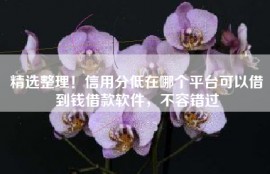 精选整理！信用分低在哪个平台可以借到钱借款软件，不容错过
