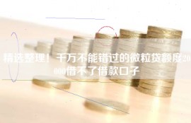 精选整理！千万不能错过的微粒贷额度20000借不了借款口子