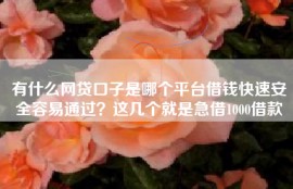 有什么网贷口子是哪个平台借钱快速安全容易通过？这几个就是急借1000借款