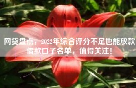 网贷盘点，2022年综合评分不足也能放款借款口子名单，值得关注！