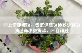 网上借钱被拒，试试这些负债多少算负债过高小额贷款，不容错过