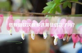 借呗借款次数多这算征信花了吗？