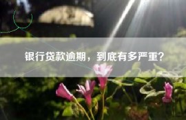 银行贷款逾期，到底有多严重？