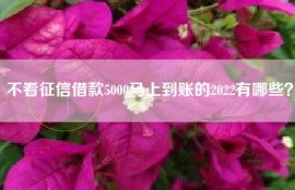 不看征信借款5000马上到账的2022有哪些？