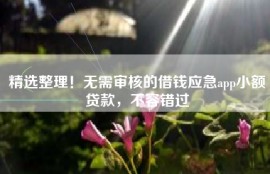 精选整理！无需审核的借钱应急app小额贷款，不容错过
