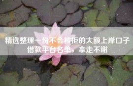 精选整理一份不会被拒的大额上岸口子借款平台名单，拿走不谢