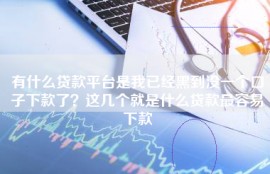 有什么贷款平台是我已经黑到没一个口子下款了？这几个就是什么贷款最容易下款