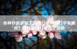 各种秒拒求能下款的口子网贷口子有哪些？精选整理分享几个贷款