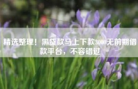精选整理！黑贷款马上下款3000无前期借款平台，不容错过