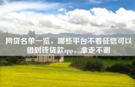 网贷名单一览，哪些平台不看征信可以借到钱贷款app，拿走不谢