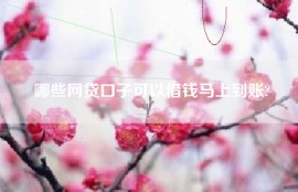 哪些网贷口子可以借钱马上到账?