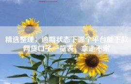 精选整理，逾期状态下哪个平台能下款网贷口子一览表，拿走不谢