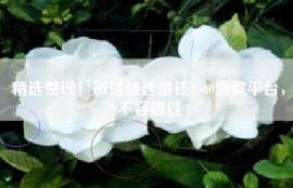 精选整理！微信快速借钱3000借款平台，不容错过