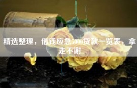 精选整理，借钱应急5000贷款一览表，拿走不谢