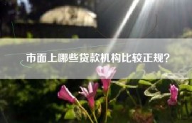市面上哪些贷款机构比较正规？