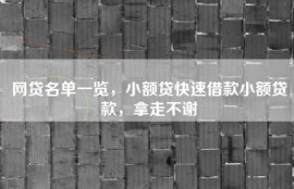 网贷名单一览，小额贷快速借款小额贷款，拿走不谢