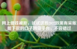 网上借钱被拒，试试这些2022双黑有呆账能下款的口子网贷平台，不容错过
