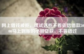 网上借钱被拒，试试这些不看征信借款5000马上到账的小额贷款，不容错过