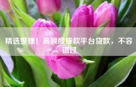 精选整理！高额度贷款平台贷款，不容错过