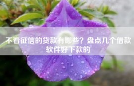 不看征信的贷款有哪些？盘点几个借款软件好下款的