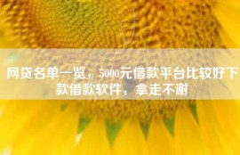 网贷名单一览，5000元借款平台比较好下款借款软件，拿走不谢