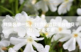 网贷名单一览，好借的借款平台网贷平台，拿走不谢