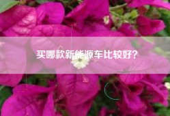 买哪款新能源车比较好？