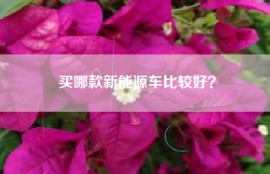买哪款新能源车比较好？