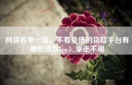网贷名单一览，不看负债的贷款平台有哪些贷款app，拿走不谢