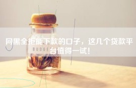 网黑全拒能下款的口子，这几个贷款平台值得一试！