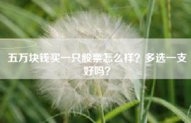 五万块钱买一只股票怎么样？多选一支好吗？