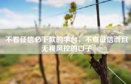 不看征信必下款的平台，不查征信而且无视风控的口子