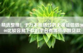 精选整理！千万不能错过的无视征信借2000比较容易下款的平台有哪些小额贷款