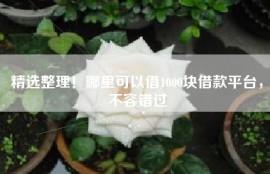 精选整理！哪里可以借1000块借款平台，不容错过