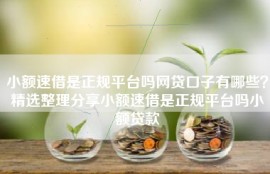 小额速借是正规平台吗网贷口子有哪些？精选整理分享小额速借是正规平台吗小额贷款